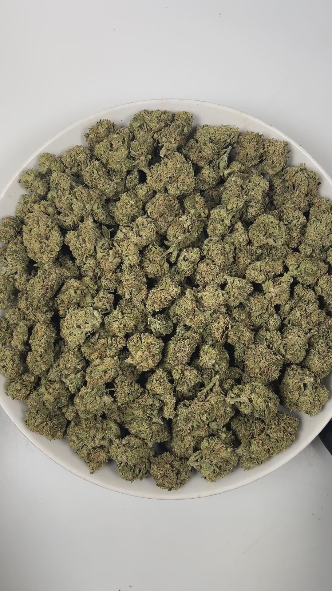 PUFFY Jelly Breath is an indica-dominant hybrid THCa strain, created from the legendary pairing of Mendo Breath and Do‑Si‑Dos. The aroma is a delightful blend of floral notes, sweet undertones, and rich, juicy berries, creating a fragrant and inviting scent that is both fresh and captivating. Visually, the buds are dense and vibrant green, accentuated by deep purple hues and bright orange pistils, all generously coated in a frosty layer of thick trichomes. Consumers often report a deeply calming experience 