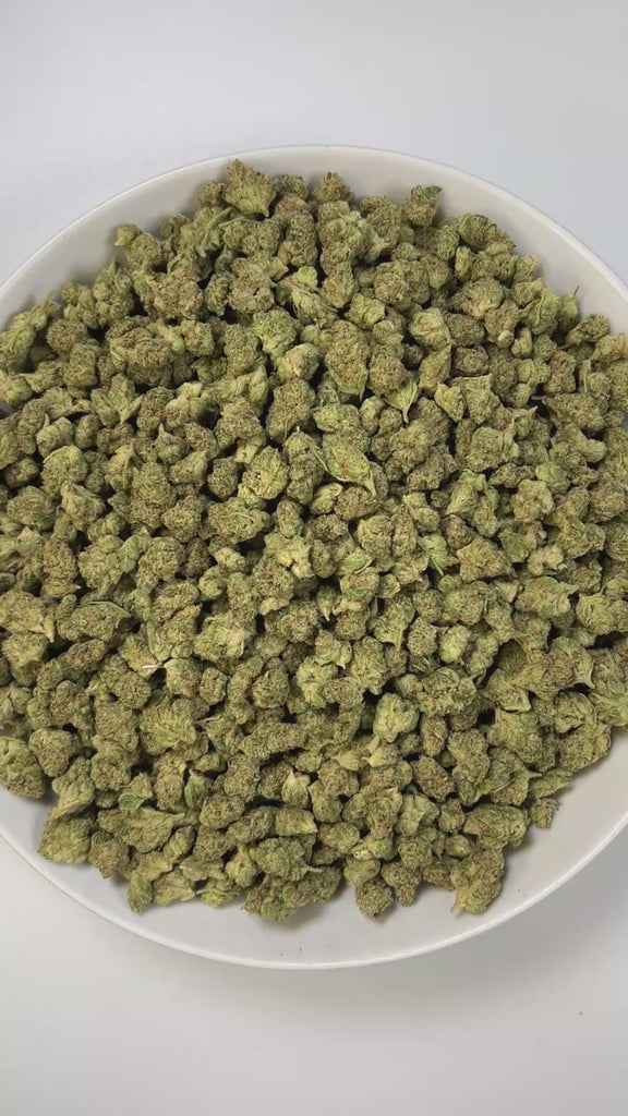 PUFFY Jet Fuel Acai (smalls) is a balanced hybrid THCa strain, born from the renowned cross of Cross of Hi-Octane × Jet Fuel. Aroma is bold and gassy with a refreshing touch of cool mint that lingers on the nose. Visually, dense medium-to-large buds show bright green hues, orange pistils, and a frosty trichome finish. Consumers often report a fast-hitting cerebral lift that sparks energy, focus, creativity, and motivation, followed by a soothing body relaxation.
