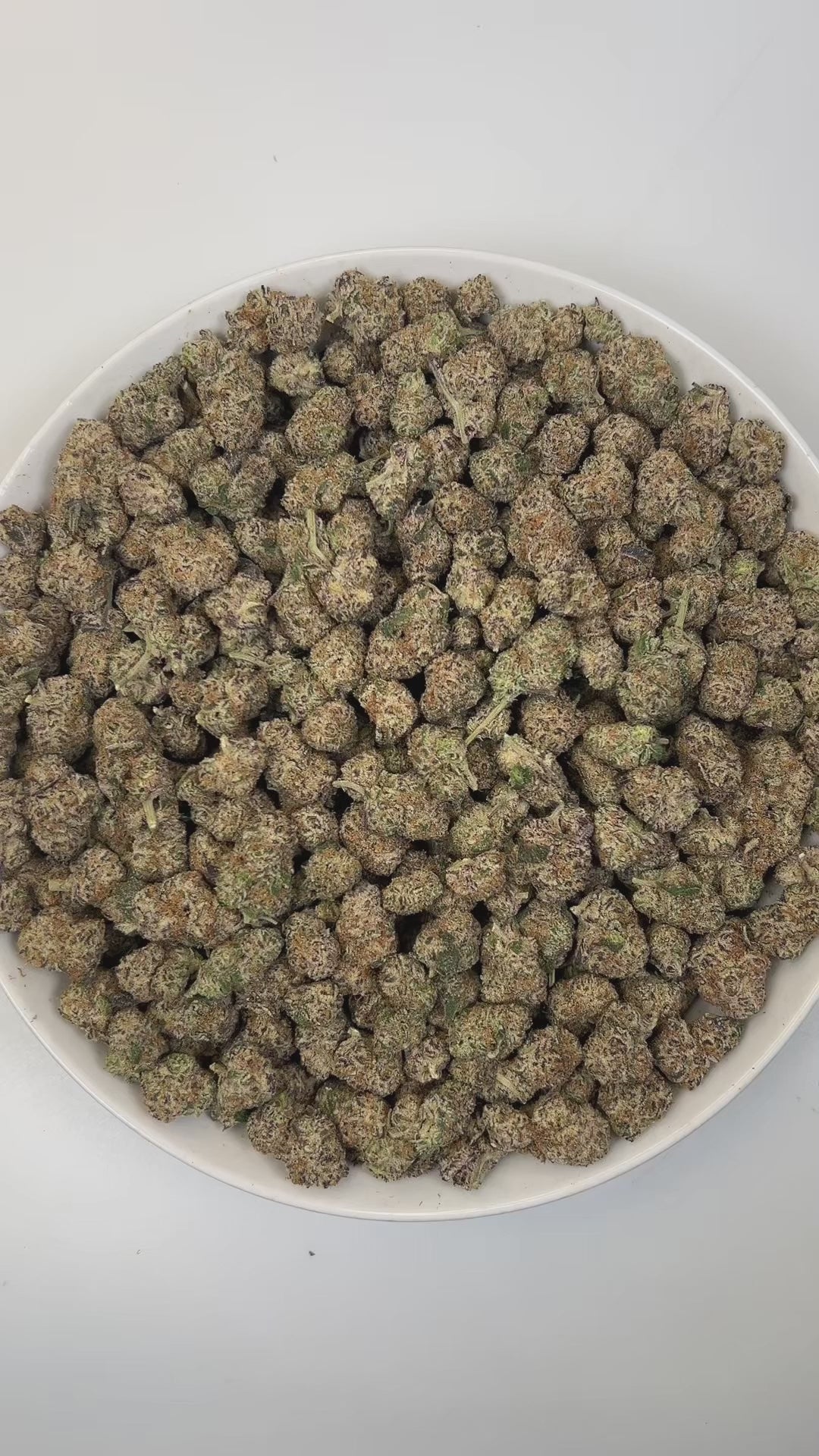 PUFFY Lunch Money is a balanced hybrid THCa strain, created from the fusion of Money Gun and Grape Pie BX. The aroma is funky, with sharp notes of cheese and a hint of savory onions. Visually, dense deep green buds with purple hues and fiery orange pistils are coated in sticky trichomes. Consumers often report an uplifted mood and euphoria, accompanied by a balanced cerebral buzz, relaxed body sensation, and mellow focus.