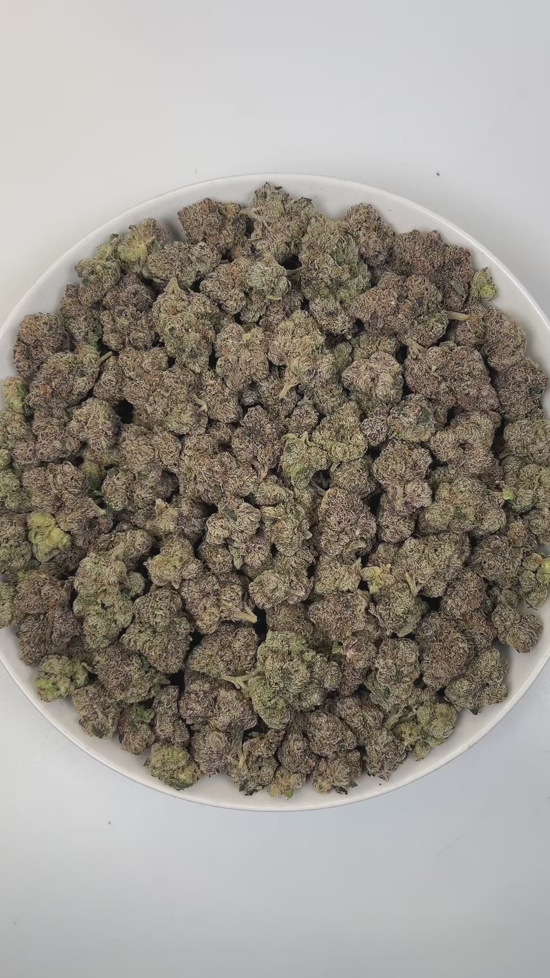 PUFFY Galactic Warhead is a balanced hybrid THCa strain, born from the renowned fusion of Gelato 33 and a mysterious, unnamed cultivar. The aroma is bright and refreshing, bursting with zesty lemons, tropical fruits, and delicate floral notes. Visually, dense green buds with purple hues and fiery orange pistils are coated in sticky trichomes. Consumers often report an immediate euphoria and uplifted, creative mood, accompanied by a relaxed body sensation and calmness, making it ideal for stress relief, mood