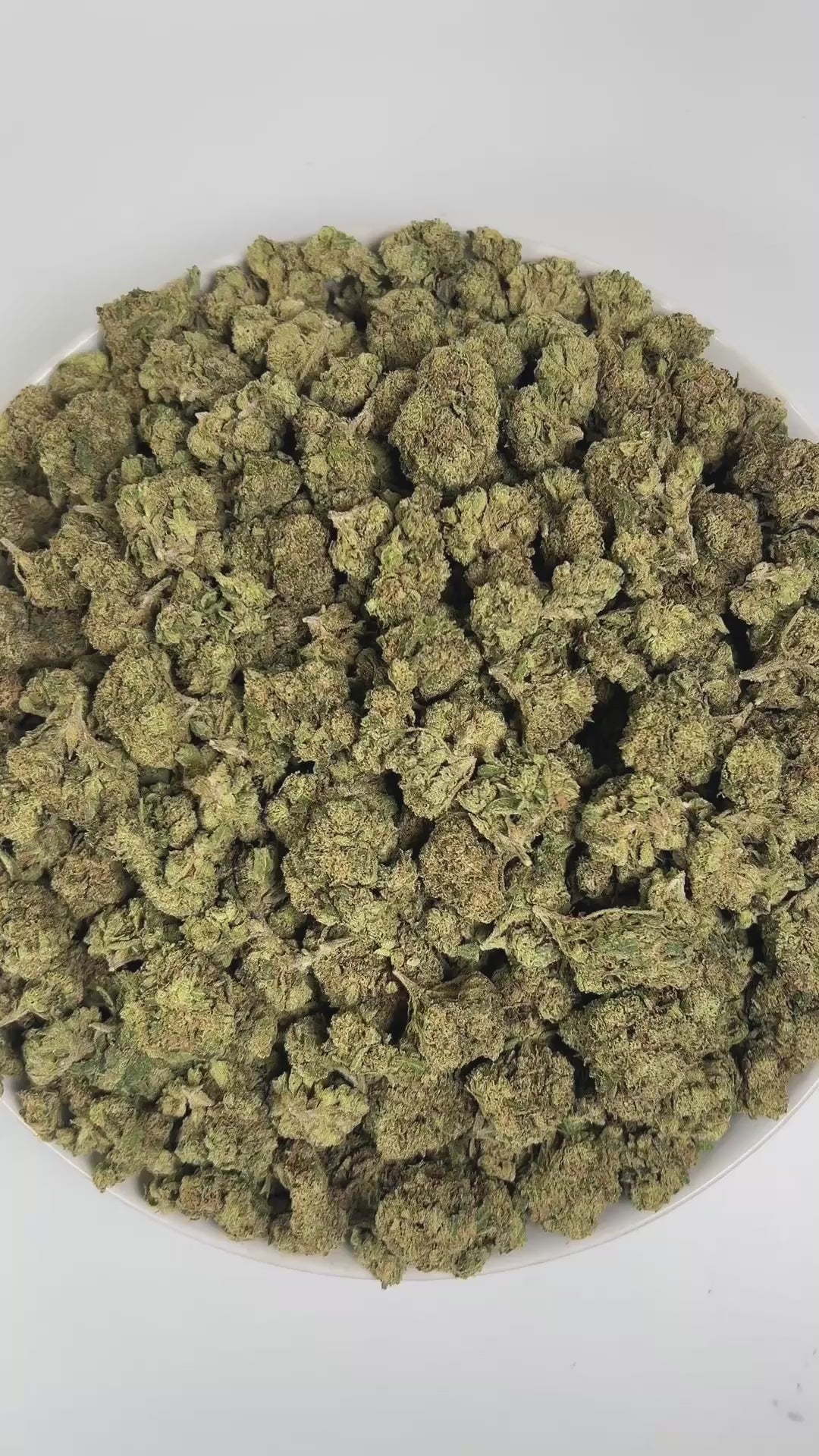 PUFFY Gelato 33 is a balanced hybrid THCa strain, expertly crafted by crossing the legendary Sunset Sherbet and Thin Mint GSC. The aroma bursts with zesty lime and juicy fruit notes, layered over a sharp, classic diesel undertone. Visually, the buds are compact and chunky, with dark green to purple hues, vibrant orange pistils, and a frosty trichome coat. Consumers often report fast-acting, uplifting effects that bring mental clarity, elevated mood, stress relief, and a natural ease that enhances creativity