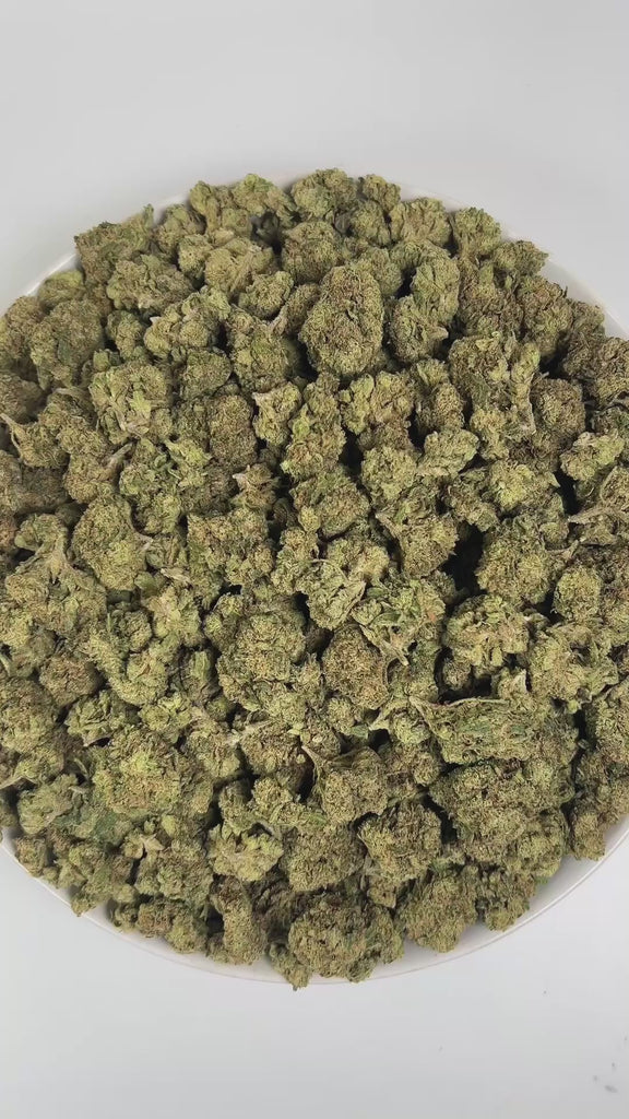 PUFFY Gelato 33 is a balanced hybrid THCa strain, expertly crafted by crossing the legendary Sunset Sherbet and Thin Mint GSC. The aroma bursts with zesty lime and juicy fruit notes, layered over a sharp, classic diesel undertone. Visually, the buds are compact and chunky, with dark green to purple hues, vibrant orange pistils, and a frosty trichome coat. Consumers often report fast-acting, uplifting effects that bring mental clarity, elevated mood, stress relief, and a natural ease that enhances creativity