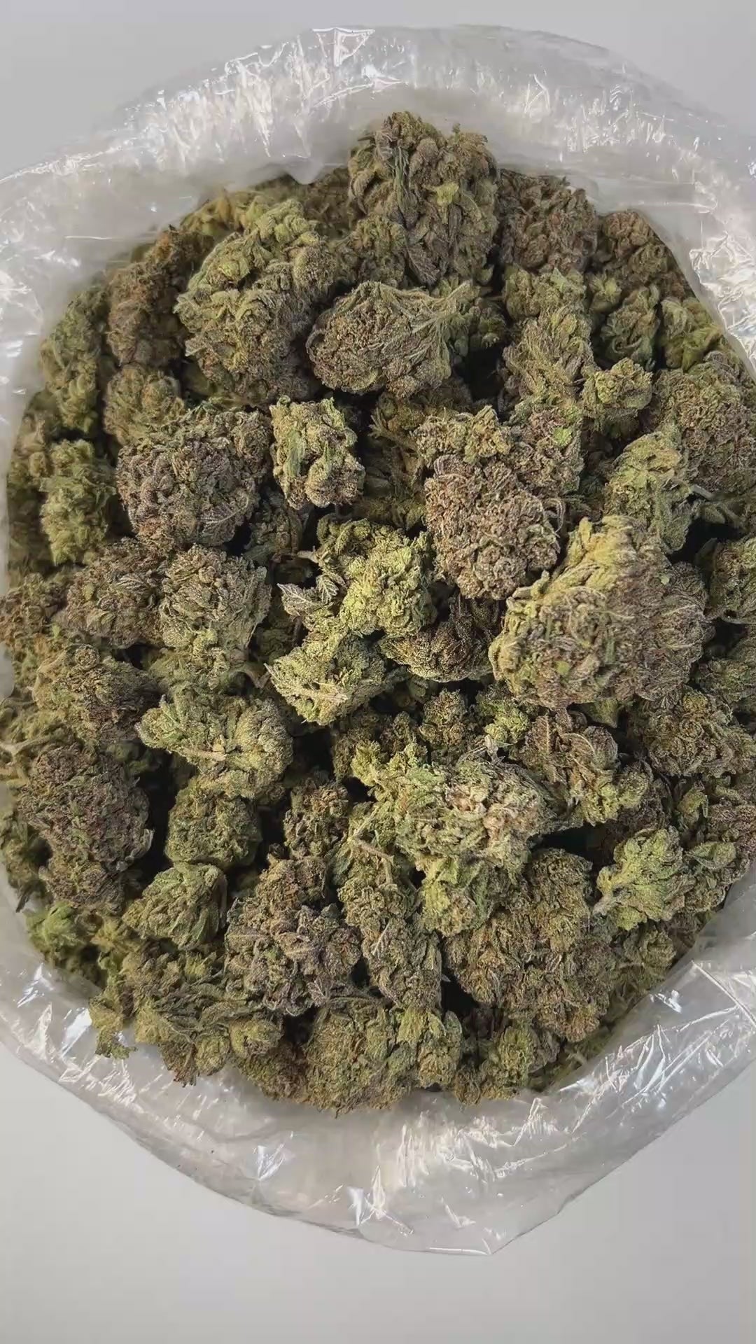PUFFY Grapefruit is a sativa-dominant hybrid THCa strain, born from a cross between Cinderella 99 and an unknown fast-flowering sativa. Known for its vibrant and invigorating profile, this strain features a strong citrus aroma, with dominant grapefruit notes layered over hints of sweet tropical fruit, subtle earthiness, and mild pine. The flavor mirrors the scent tangy, sweet, and fruity, much like freshly squeezed grapefruit juice. Visually, it showcases medium-density buds ranging in color from bright lim
