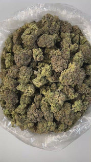 PUFFY Grapefruit is a sativa-dominant hybrid THCa strain, born from a cross between Cinderella 99 and an unknown fast-flowering sativa. Known for its vibrant and invigorating profile, this strain features a strong citrus aroma, with dominant grapefruit notes layered over hints of sweet tropical fruit, subtle earthiness, and mild pine. The flavor mirrors the scent tangy, sweet, and fruity, much like freshly squeezed grapefruit juice. Visually, it showcases medium-density buds ranging in color from bright lim