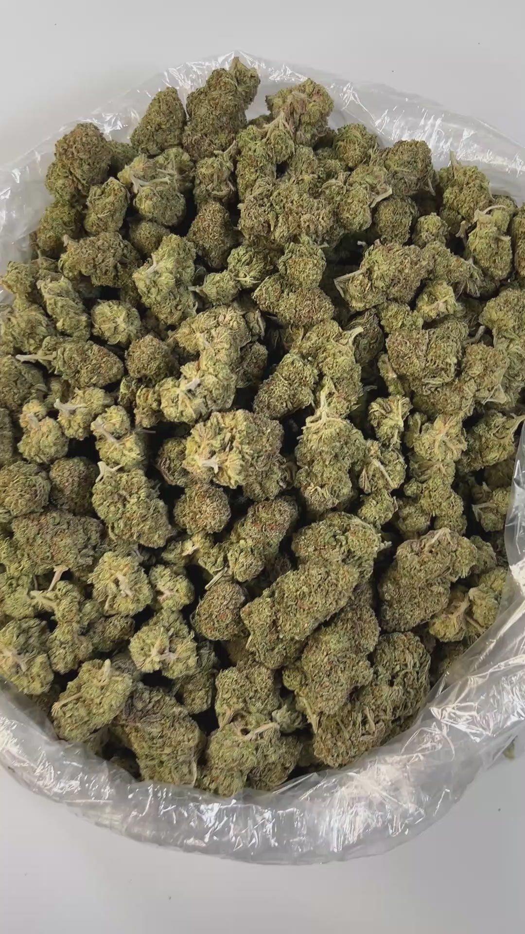 PUFFY Super Dope is a well-balanced hybrid THCa strain, born from a flavorful cross between ZKZ and Grape Pie. Its aroma bursts with sweet herbal notes, perfectly complemented by subtle hints of sugary candy, creating a soothing yet playful scent profile. Visually, the buds are strikingly dense, frosty, and generously coated in trichomes, showcasing deep purple hues, dark green leaves, and vibrant orange pistils. Consumers often describe its effects as a euphoric and uplifting cerebral high that sparks crea