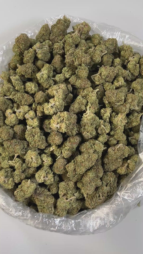 PUFFY Super Dope is a well-balanced hybrid THCa strain, born from a flavorful cross between ZKZ and Grape Pie. Its aroma bursts with sweet herbal notes, perfectly complemented by subtle hints of sugary candy, creating a soothing yet playful scent profile. Visually, the buds are strikingly dense, frosty, and generously coated in trichomes, showcasing deep purple hues, dark green leaves, and vibrant orange pistils. Consumers often describe its effects as a euphoric and uplifting cerebral high that sparks crea