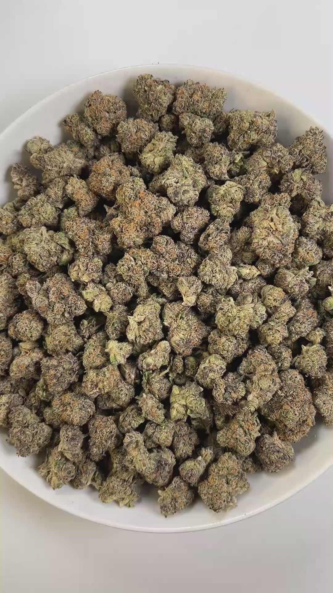THC-A Flower - Gello (Exotic) (Hybrid)
