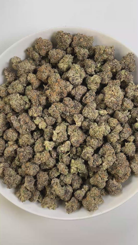 PUFFY Gello is a balanced hybrid THCa strain, born from the flavorful cross of Bacio Gelato and Mochi Gelato. The aroma blends sweet candy notes with a gassy edge and a hint of ripe berries. Visually, the buds are bright neon green with deep amber hues, vivid orange pistils, and a dense coating of chunky amber trichomes. Consumers often describe the effects as an uplifting, euphoric rush that sparks creativity, gradually giving way to deep physical relaxation and enhanced mood. 
