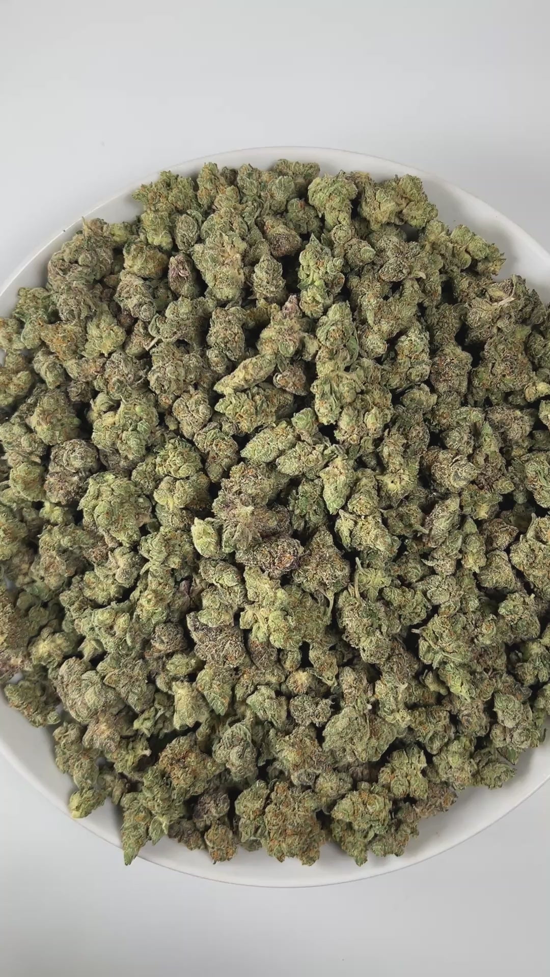 PUFFY Sour Belts (smalls) is a sativa-dominant hybrid THCa strain, born from the legendary union of Sour Diesel and Candyland. The aroma presents a zesty blend of tangy lemon, sharp diesel, and a subtle spicy undertone. Visually, the buds are dense and bright green, adorned with vibrant orange pistils and coated in a generous layer of sticky, glistening trichomes. Consumers often report an uplifting, euphoric onset that feels energetic and social, followed by a gentle, calming relaxation that balances the i