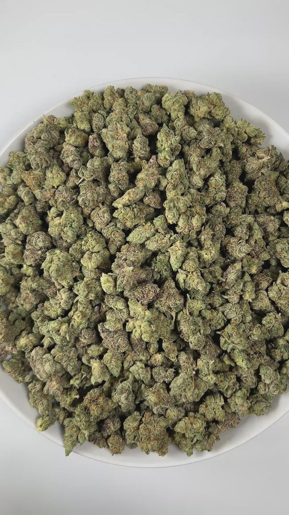 PUFFY Sour Belts (smalls) is a sativa-dominant hybrid THCa strain, born from the legendary union of Sour Diesel and Candyland. The aroma presents a zesty blend of tangy lemon, sharp diesel, and a subtle spicy undertone. Visually, the buds are dense and bright green, adorned with vibrant orange pistils and coated in a generous layer of sticky, glistening trichomes. Consumers often report an uplifting, euphoric onset that feels energetic and social, followed by a gentle, calming relaxation that balances the i