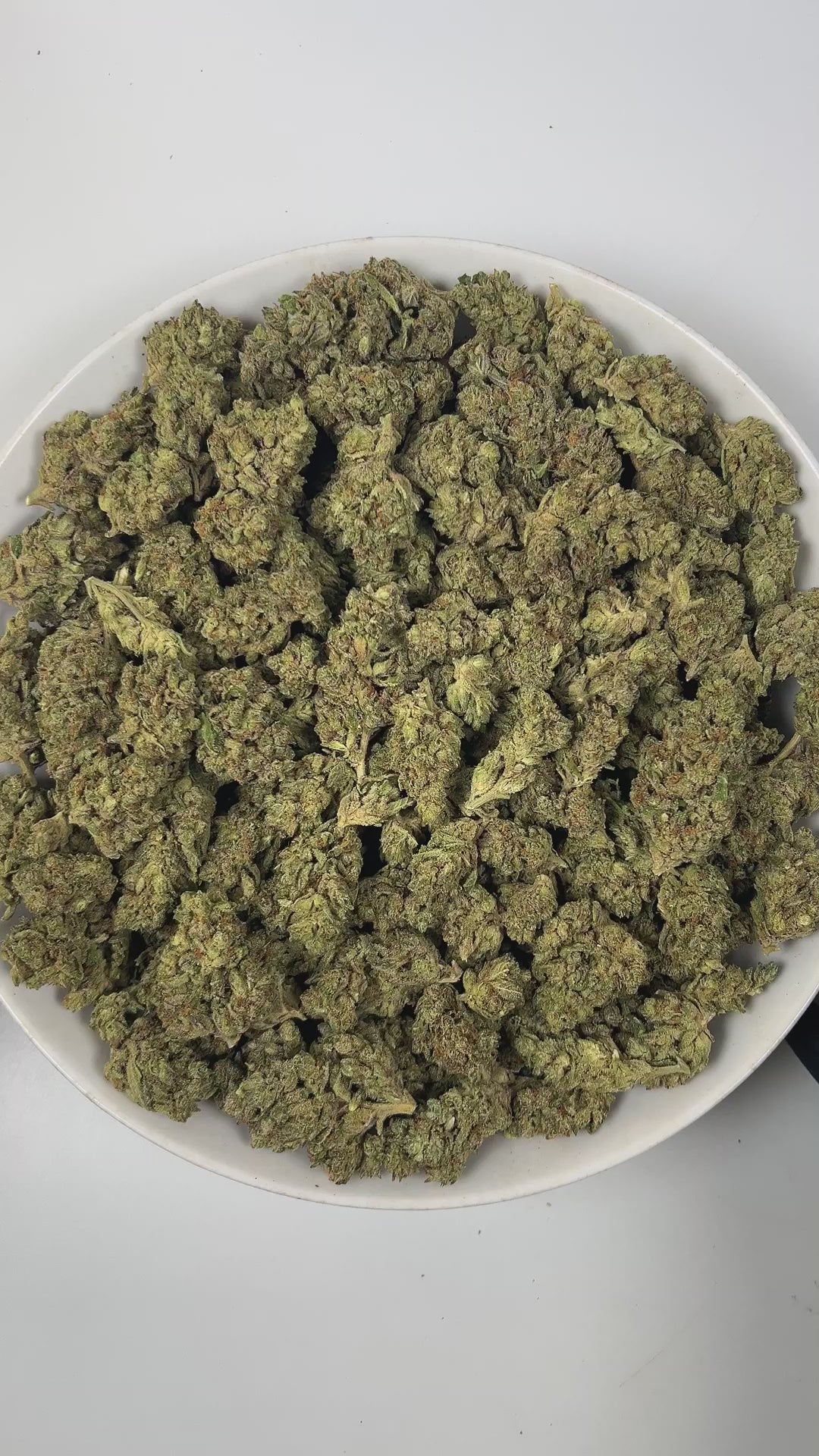 PUFFY Jack Frost is a balanced hybrid THCa strain,  born from a complex cross of Northern Lights, White Widow, and Jack Herer. The aroma opens with bright citrus notes, layered with fresh pine and grounded by warm, woody undertones. Visually, the buds are dense, with rich green and purple hues, bright orange pistils, and a frosty layer of trichomes. Consumers often report a happy, euphoric, and uplifting experience that promotes focus, energy, creativity, and balanced relaxation, making it well suited for d