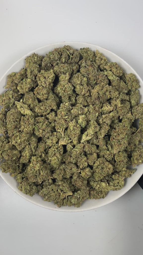 PUFFY Jack Frost is a balanced hybrid THCa strain,  born from a complex cross of Northern Lights, White Widow, and Jack Herer. The aroma opens with bright citrus notes, layered with fresh pine and grounded by warm, woody undertones. Visually, the buds are dense, with rich green and purple hues, bright orange pistils, and a frosty layer of trichomes. Consumers often report a happy, euphoric, and uplifting experience that promotes focus, energy, creativity, and balanced relaxation, making it well suited for d