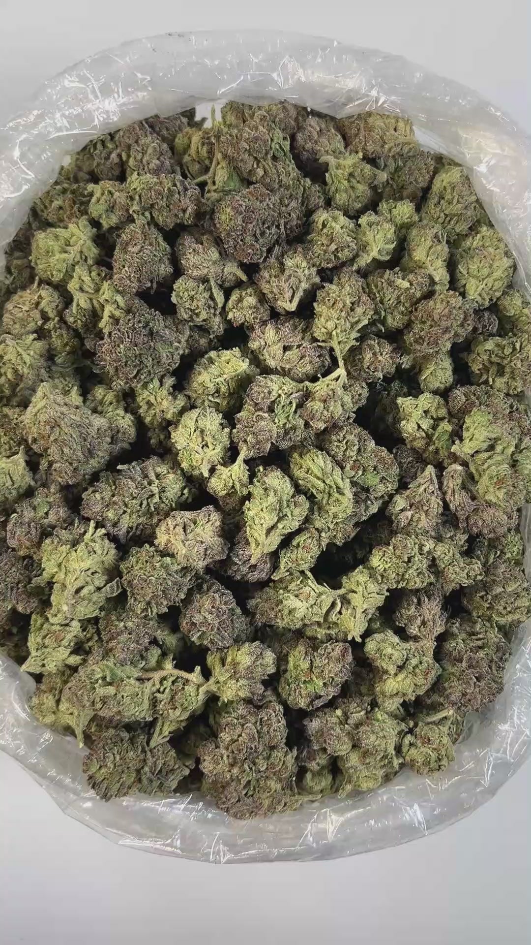 PUFFY Gelato Cake is an indica-dominant hybrid THCA strain created from a cross between Gelato #33 and Wedding Cake. It boasts a rich and layered aroma profile, opening with creamy vanilla and sweet berry notes, followed by undertones of fuel, gas, and sour citrus. The flavor mirrors its scent delivering a delicious blend of sweet berries and smooth, creamy vanilla. Visually, the buds are dense and spade-shaped, showcasing a deep olive green color with striking purple hues, thick burnt-orange pistils, and a