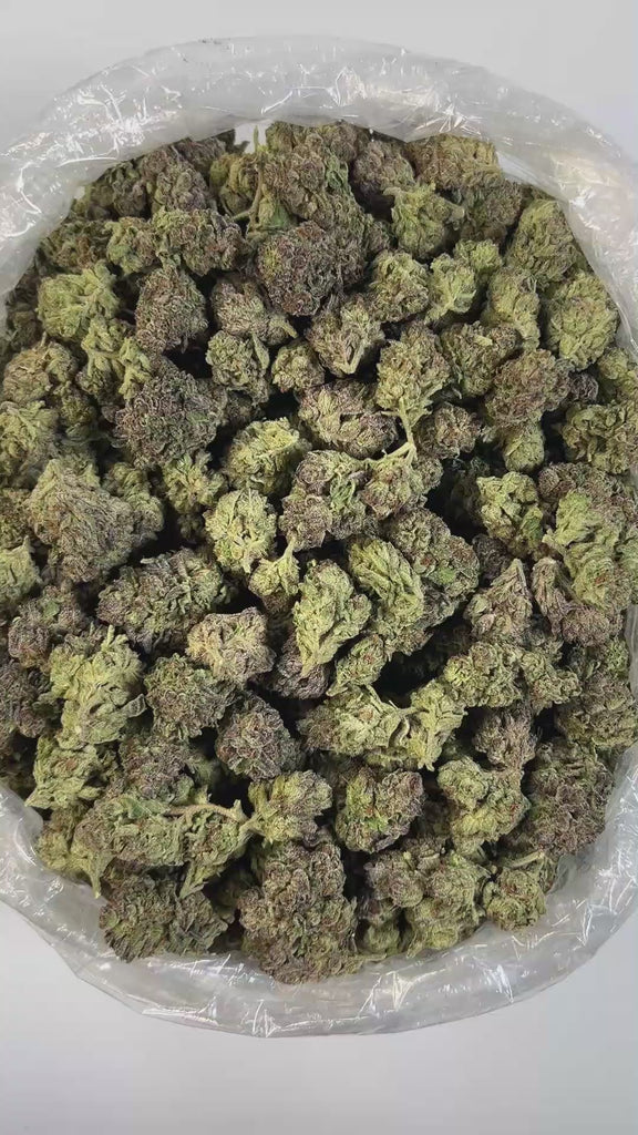 PUFFY Gelato Cake is an indica-dominant hybrid THCA strain created from a cross between Gelato #33 and Wedding Cake. It boasts a rich and layered aroma profile, opening with creamy vanilla and sweet berry notes, followed by undertones of fuel, gas, and sour citrus. The flavor mirrors its scent delivering a delicious blend of sweet berries and smooth, creamy vanilla. Visually, the buds are dense and spade-shaped, showcasing a deep olive green color with striking purple hues, thick burnt-orange pistils, and a
