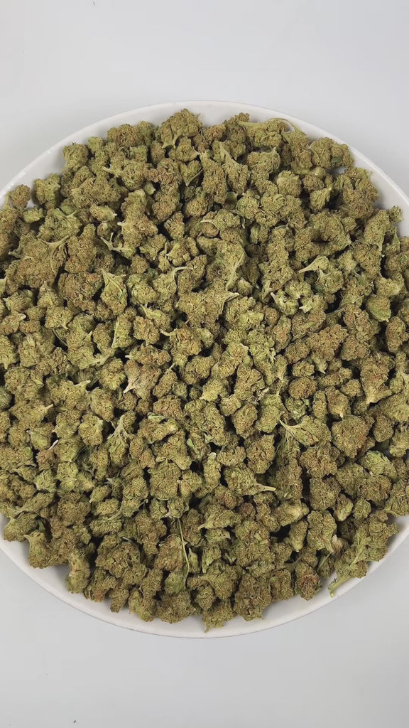 PUFFY The Doctor (smalls) is an indica-dominant hybrid THCa strain born from the complex cross of Great White Shark, Super Skunk, A South India–derived indica variety. The aroma is a rich blend of woody, herbal, and sweet notes, creating a warm and inviting fragrance experience. Visually, dense spring green buds with hints of purple, bright orange pistils, and a thick coating of sparkling trichomes. Consumers often report euphoric and calming effects, accompanied by lighthearted giggles and a noticeable inc