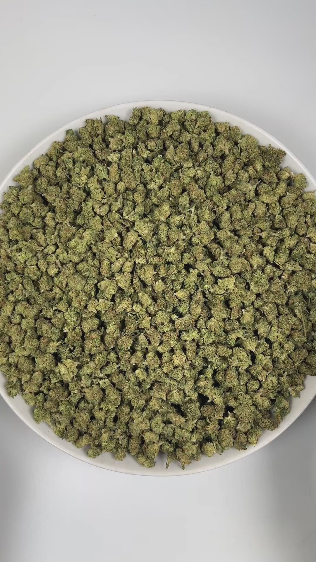 PUFFY Sour Tangie (smalls) is a sativa-dominant hybrid THCa strain, hailing from the legendary genetics of East Coast Sour Diesel and Tangie. The aroma bursts with zesty citrus, grounded earthy undertones, and delicate floral notes that linger on the senses. Visually, the dense buds display rich forest-green tones with hints of purple, accented by vibrant orange pistils and enveloped in a frosty layer of trichomes. Consumers often report a cerebral, uplifting head high that sparks euphoria, focus, and inspi