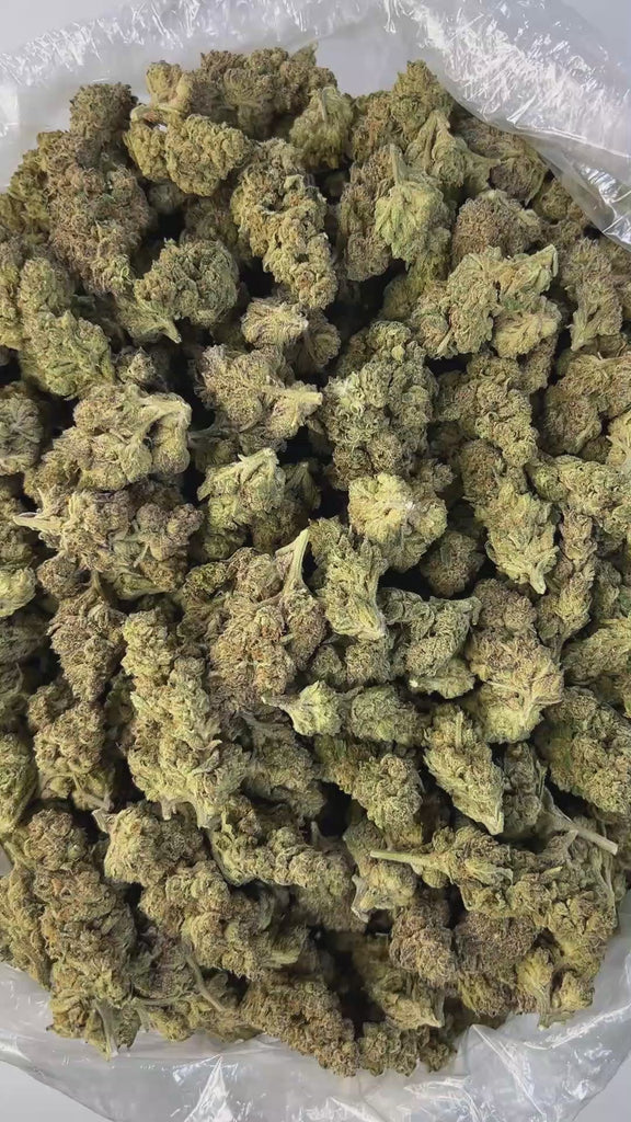 PUFFY Zereal is a well-balanced hybrid THCa strain born from the flavorful cross of Cereal Milk and ZKZ. The aroma is peppery and invigorating, with fresh herbal notes layered over a deep, earthy richness. Visually, it features dense, frosty, cone-shaped buds in rich green, accented by bright orange pistils and occasional hints of blue or purple. Consumers often report fast-acting effects, beginning with an immediate cerebral uplift. The experience is typically marked by waves of euphoria, happiness, and an