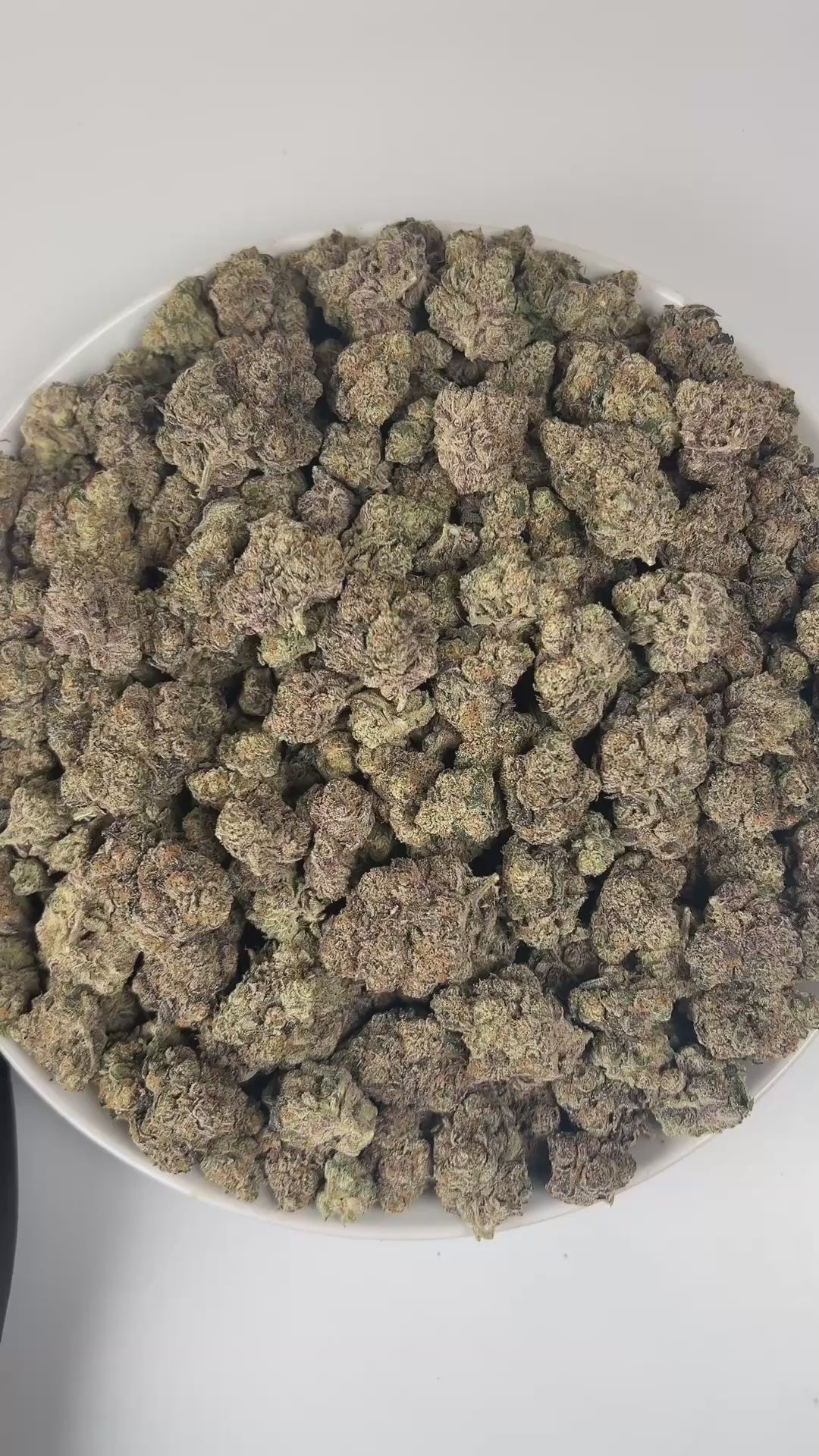 PUFFY Pineapple Breeze is a sativa-dominant hybrid THCa strain, created by crossing Guava Tart × Caribbean Cookies. The aroma opens with sweet pineapple notes, bright zesty undertones, and delicate floral hints. Visually, the buds are dense and bright green, adorned with vivid orange pistils and a generous coating of sparkling trichomes. Consumers often report an uplifting mood and euphoria, enhanced creativity and focus, accompanied by a gentle physical relaxation.
