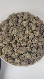 PUFFY Pineapple Breeze is a sativa-dominant hybrid THCa strain, created by crossing Guava Tart × Caribbean Cookies. The aroma opens with sweet pineapple notes, bright zesty undertones, and delicate floral hints. Visually, the buds are dense and bright green, adorned with vivid orange pistils and a generous coating of sparkling trichomes. Consumers often report an uplifting mood and euphoria, enhanced creativity and focus, accompanied by a gentle physical relaxation.
