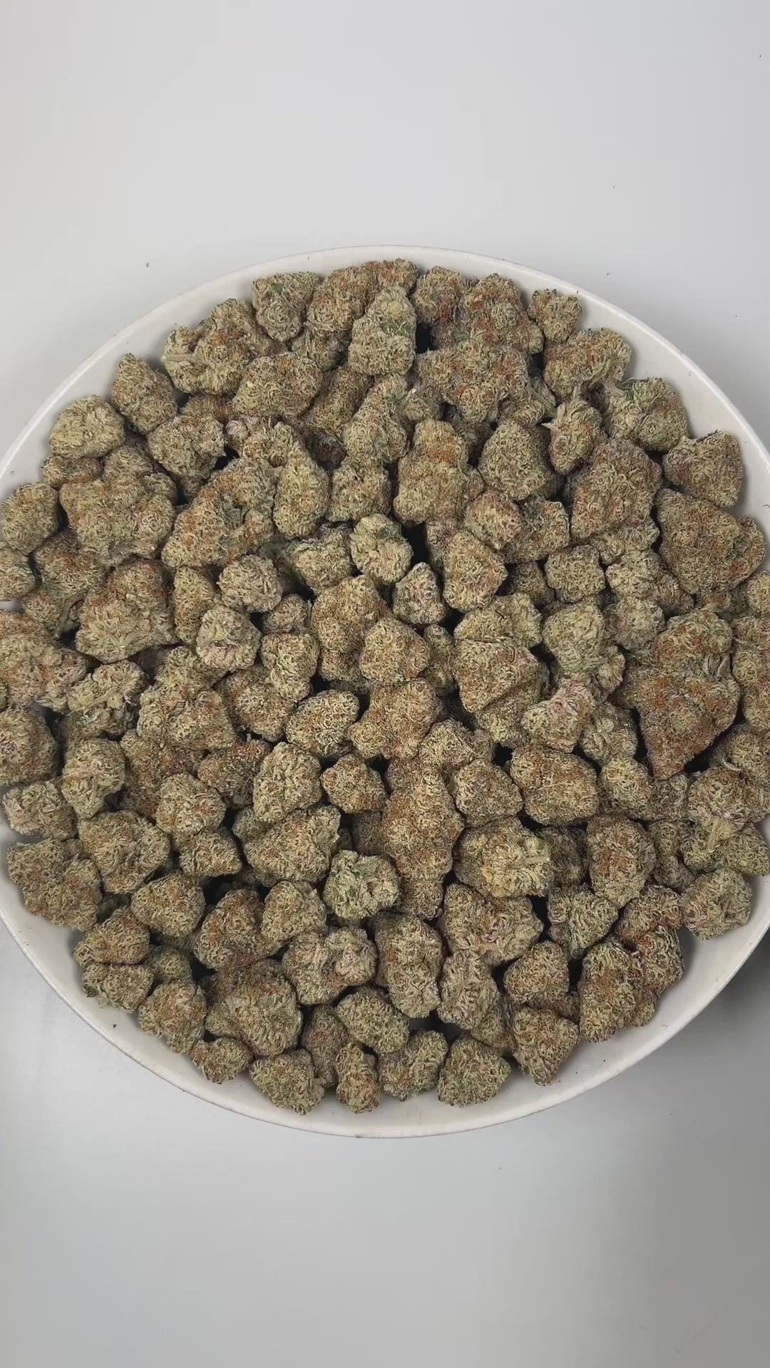 PUFFY Lemon Pastries is a sativa-dominant hybrid THCa strain, born from the flavorful cross of Jet Fuel Gelato and Oreoz. The aroma bursts with bright, zesty lemon notes layered over a pungent, gassy undertone. Visually, the buds are dense, with deep green and purple hues, fiery orange hairs, and a sparkling coat of trichomes. Consumers often report a smooth, balanced high that combines a euphoric mental lift with a calming body buzz, easing stress and tension while keeping the mind clear and creatively eng