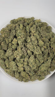 PUFFY Candy Glue is a sativa-dominant hybrid THCa strain, born from the intricate and flavorful cross of GG4, GSC, and ZKZ. The aroma bursts with a playful candy sweetness, underscored by sharp, rubbery notes and a distinct, funky undertone. Visually, the buds are tightly packed with deep forest-green shades, subtle golden highlights, vivid orange pistils, and a generous coating of sparkling trichomes. Consumers often report an uplifting, euphoric mental high paired with soothing body relaxation, with poten