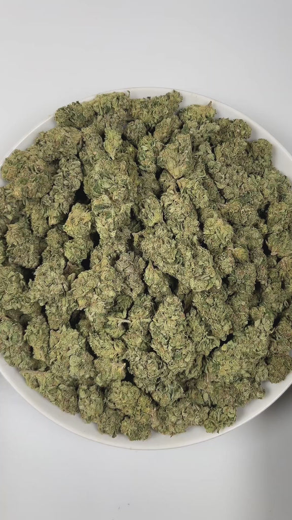 PUFFY Candy Glue is a sativa-dominant hybrid THCa strain, born from the intricate and flavorful cross of GG4, GSC, and ZKZ. The aroma bursts with a playful candy sweetness, underscored by sharp, rubbery notes and a distinct, funky undertone. Visually, the buds are tightly packed with deep forest-green shades, subtle golden highlights, vivid orange pistils, and a generous coating of sparkling trichomes. Consumers often report an uplifting, euphoric mental high paired with soothing body relaxation, with poten