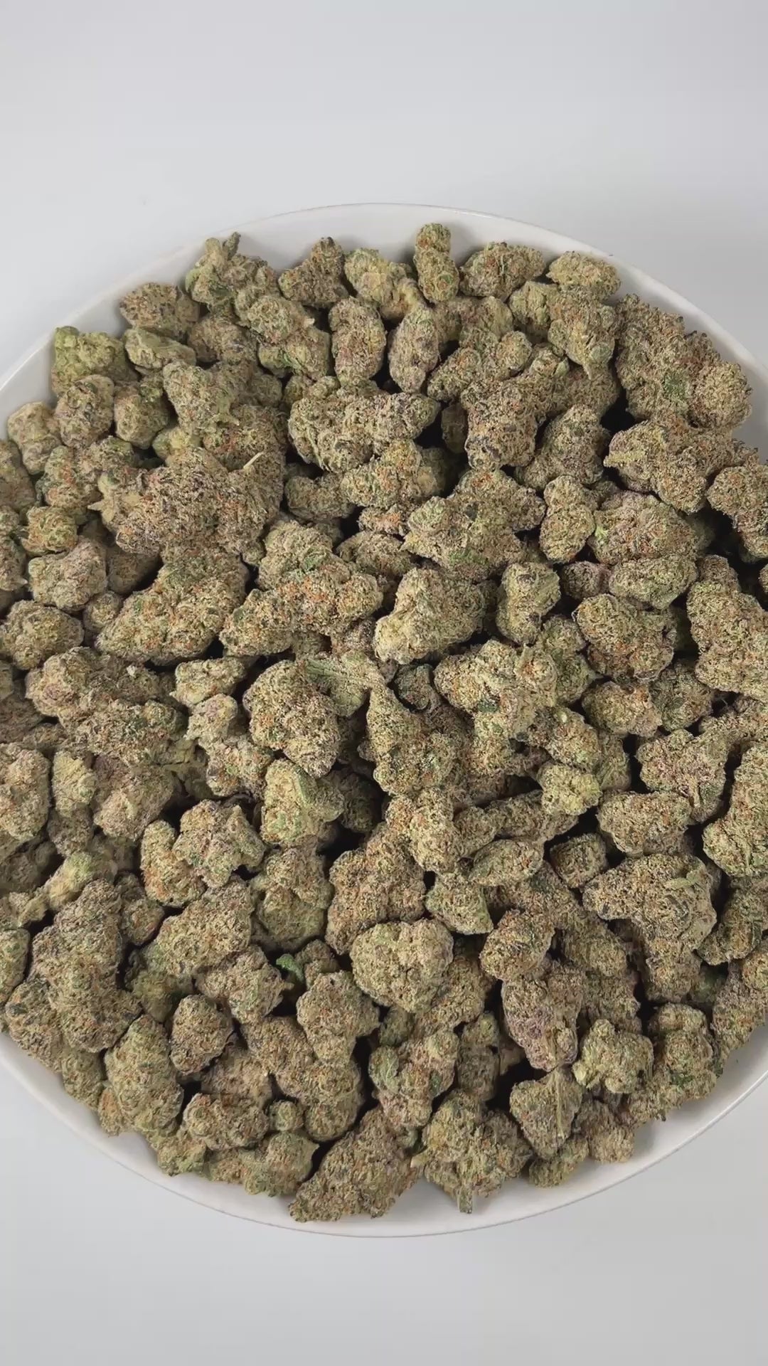 PUFFY Blueberry Headband is an indica-dominant hybrid THCa strain, crafted from the legendary lineage of  Blueberry × Headband. The aroma bursts with sharp citrus notes, balanced by bold diesel accents and grounded with fresh pine undertones, creating a bright yet earthy scent profile. Visually, the buds are dense and green, adorned with bright orange pistils and coated in a thick, frosty layer of glistening trichomes. Consumers often report a euphoric, happy, and relaxed high, an experience that combines a