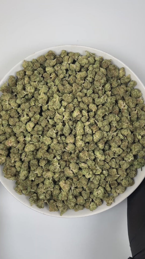 PUFFY Permanent Marker (smalls) is an indica-dominant hybrid THCa strain, born from the complex cross of Biscotti, Jealousy, and Sherbet BX. The aroma opens with bright citrus notes layered over warm, woody undertones, rounded out by a soft floral sweetness that adds depth and elegance to the overall scent profile. Visually striking, the buds feature deep purple and green hues, bright orange pistils, and a thick coating of sparkling resinous trichomes. Consumers often report a blissful euphoria that uplifts