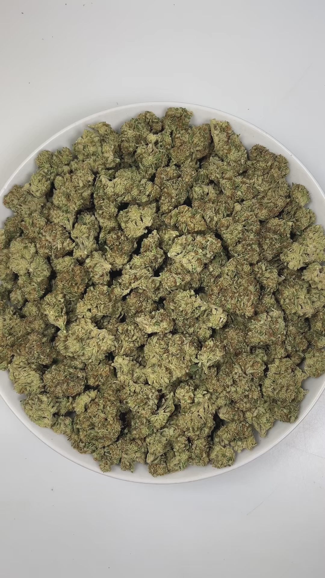 PUFFY Peach Ringz is an indica-dominant hybrid THCa strain born from the flavorful cross of Marionberry and Eddy OG. The aroma bursts with gassy, sweet, and fruity notes, creating an enticing and vibrant sensory experience. Visually, the buds are bushy and densely packed, covered in glistening trichomes with minty  green tones and dark olive undertones. Consumers frequently describe this strain as offering a harmonious experience, starting with a light, uplifting mental clarity that brightens the mood, foll