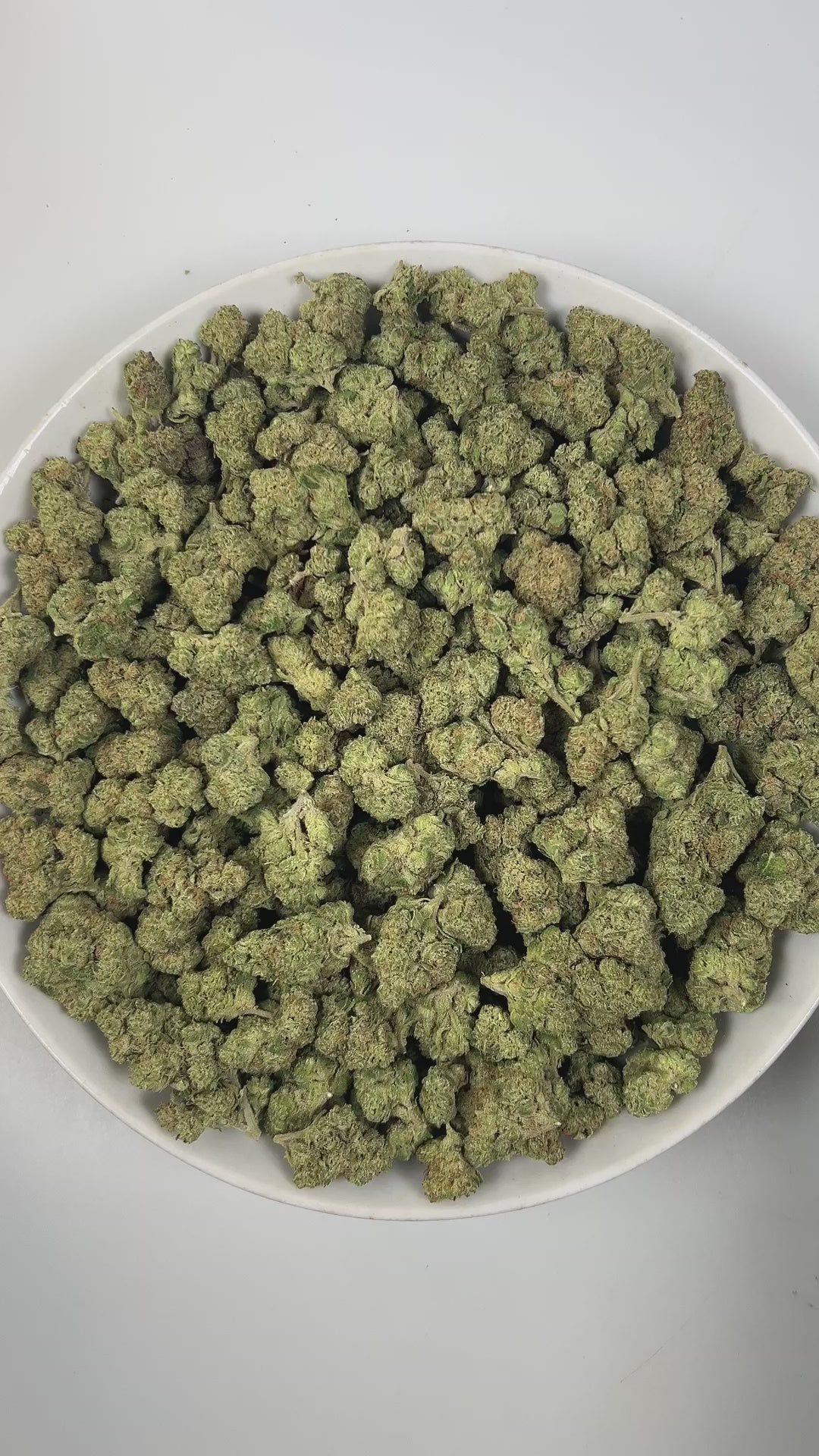 PUFFY Lemon Candy is a sativa-dominant hybrid THCa strain, crafted from the legendary lineage of American indica with NYC Diesel. The aroma is a vibrant blend of zesty lemon with grounding earthy undertones, creating a refreshing and invigorating scent. Visually striking, these dense, frosty buds glisten with trichomes, displaying deep greens with hints of lime and purple, accented by vibrant orange pistils. Consumers often report an initial wave of uplifting euphoria that elevates the spirit and energizes 