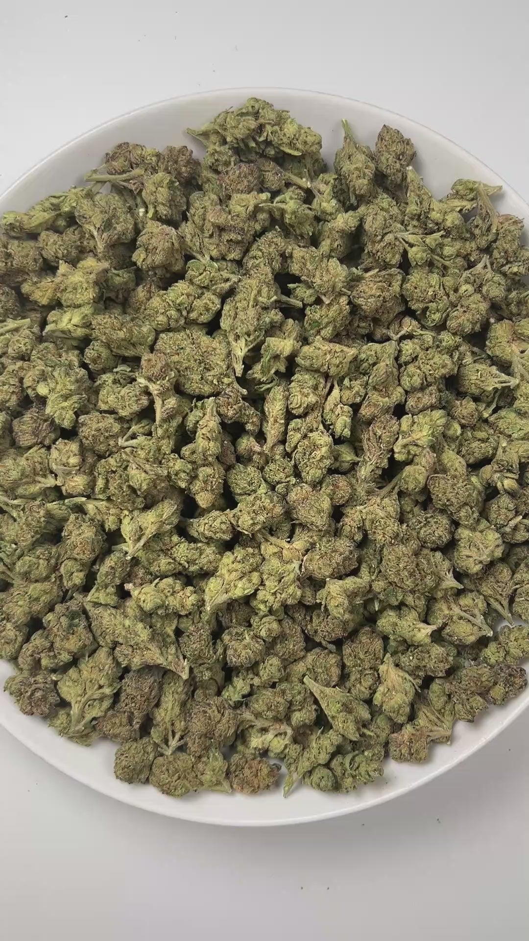 PUFFY Candy Gelato is a balanced hybrid THCa strain born from a complex cross of Blue Oreoz × Cotton Candy Gelato / Candyland × GG4 × Gelato. The aroma teases the senses with a decadent blend of sweet candy, smooth cream, and a bold gassy finish for a truly indulgent profile. Visually, its dense, colorful nugs range from dark forest green to vibrant purple, often coated in a heavy layer of frosty trichomes. Consumers commonly report a fast-acting euphoric lift, delivering mental stimulation and a creative s