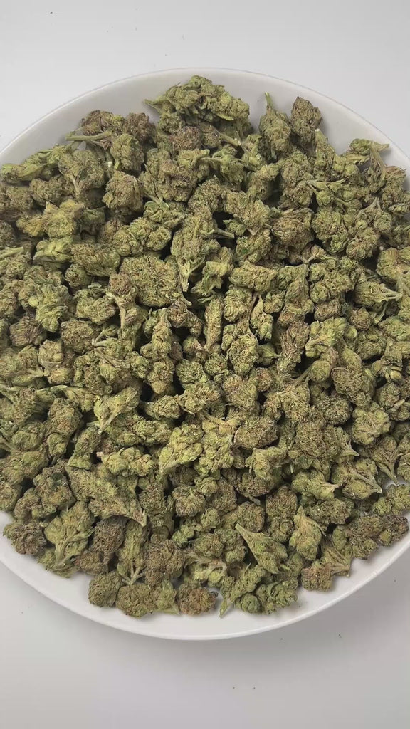 PUFFY Candy Gelato is a balanced hybrid THCa strain born from a complex cross of Blue Oreoz × Cotton Candy Gelato / Candyland × GG4 × Gelato. The aroma teases the senses with a decadent blend of sweet candy, smooth cream, and a bold gassy finish for a truly indulgent profile. Visually, its dense, colorful nugs range from dark forest green to vibrant purple, often coated in a heavy layer of frosty trichomes. Consumers commonly report a fast-acting euphoric lift, delivering mental stimulation and a creative s