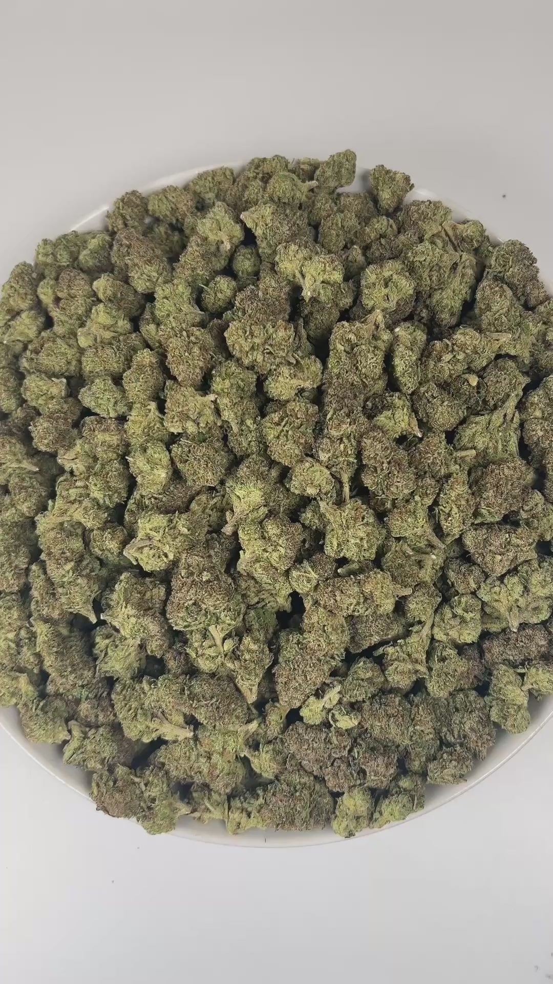 PUFFY Gelonade is a sativa-dominant hybrid THCa strain created by crossing Lemon Tree with Gelato #41. The aroma bursts with bright citrus notes, complemented by a skunky earthiness and a subtle, gassy undertone that lingers enticingly. Visually, the buds have a dense, grape-like structure, showcasing lime-green tones with purple hues and orange pistils, all coated in glistening trichomes. Consumers often report a bright, uplifting experience with a clear-headed cerebral buzz that boosts creativity, focus, 