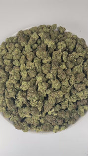 PUFFY Gelonade is a sativa-dominant hybrid THCa strain created by crossing Lemon Tree with Gelato #41. The aroma bursts with bright citrus notes, complemented by a skunky earthiness and a subtle, gassy undertone that lingers enticingly. Visually, the buds have a dense, grape-like structure, showcasing lime-green tones with purple hues and orange pistils, all coated in glistening trichomes. Consumers often report a bright, uplifting experience with a clear-headed cerebral buzz that boosts creativity, focus, 