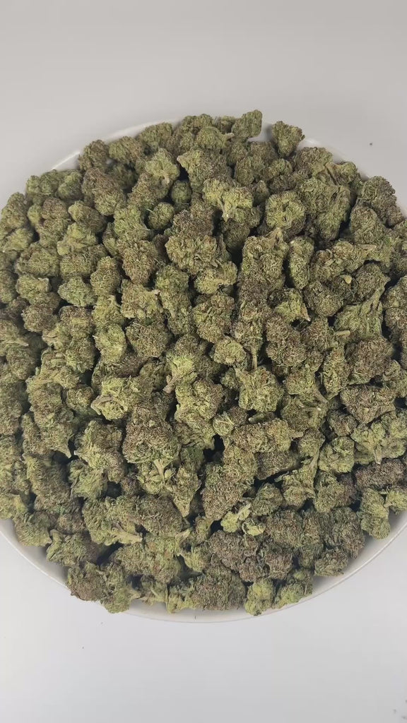 PUFFY Gelonade is a sativa-dominant hybrid THCa strain created by crossing Lemon Tree with Gelato #41. The aroma bursts with bright citrus notes, complemented by a skunky earthiness and a subtle, gassy undertone that lingers enticingly. Visually, the buds have a dense, grape-like structure, showcasing lime-green tones with purple hues and orange pistils, all coated in glistening trichomes. Consumers often report a bright, uplifting experience with a clear-headed cerebral buzz that boosts creativity, focus, 