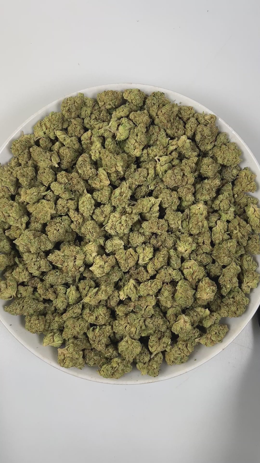 PUFFY Wedding Cake (smalls) is an indica-dominant hybrid THCa strain created by crossing Triangle Cherry Pie and Girl Scout Cookies (GSC). The aroma unfolds with rich, creamy vanilla, complemented by smooth, comforting earthy undertones. Visually, the buds are dense and vibrant, with forest green and purple hues coated in frosty trichomes and bright orange pistils. Consumers often report a euphoric, uplifted mood paired with a relaxing body high, along with a creative and social spark in lighter use.