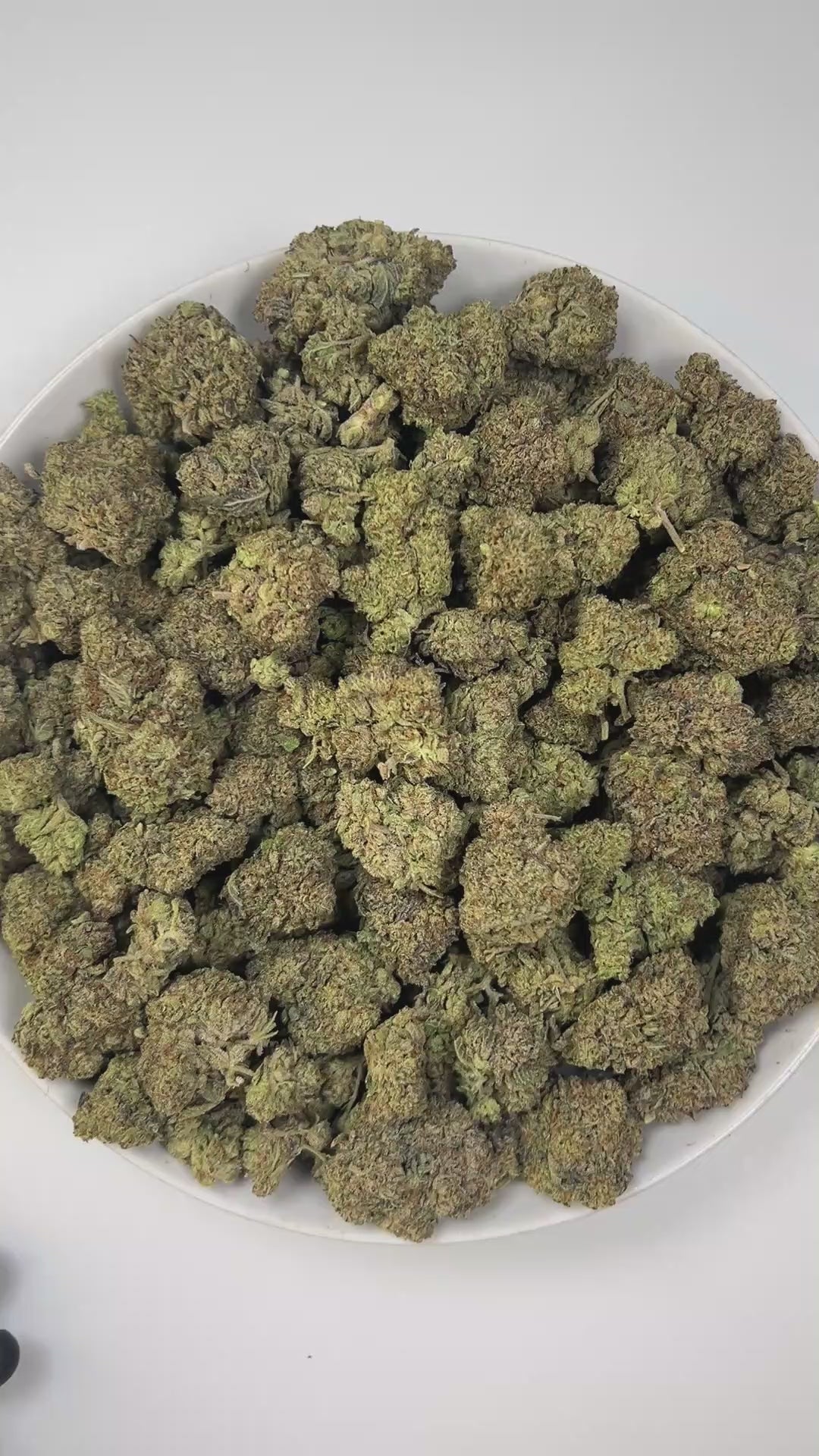 PUFFY Frosted ORZ is an indica-dominant hybrid THCa strain, crafted from the legendary lineage of Cookies N Cream × Secret Weapon. The aroma exudes creamy chocolate richness layered with deep earthy undertones, creating a warm and indulgent scent experience. Visually striking, the dense green buds showcase subtle purple hues, fiery orange hairs, and a heavy coat of frosty trichomes. Consumers often note an uplifting spark of creativity and euphoria that flows into a relaxed, calm state while keeping convers