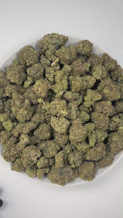 PUFFY Frosted ORZ is an indica-dominant hybrid THCa strain, crafted from the legendary lineage of Cookies N Cream × Secret Weapon. The aroma exudes creamy chocolate richness layered with deep earthy undertones, creating a warm and indulgent scent experience. Visually striking, the dense green buds showcase subtle purple hues, fiery orange hairs, and a heavy coat of frosty trichomes. Consumers often note an uplifting spark of creativity and euphoria that flows into a relaxed, calm state while keeping convers