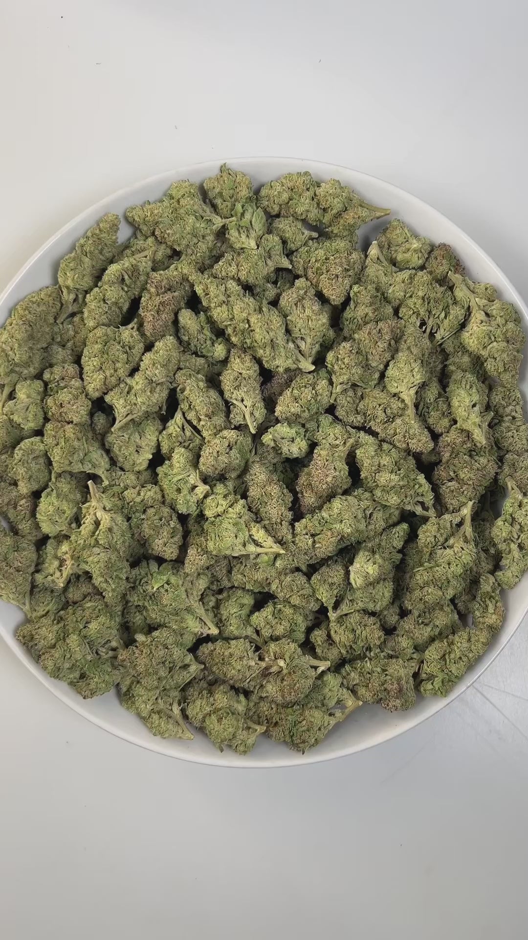 PUFFY Gush Mintz is an indica-dominant hybrid THCa strain, born from the cross of Kush Mints × (F1 Durb × Gushers). The aroma is a refreshing blend of minty coolness, earthy richness, and subtle hints of creamy vanilla. Visually, the buds are dense and striking, showcasing dark green and deep purple hues intertwined with vibrant orange pistils and a sparkling layer of shimmering trichomes. Consumers often describe a powerful, body-zapping high that dissolves stress and tension, leaving the mind calm and the