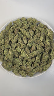 PUFFY Gush Mintz is an indica-dominant hybrid THCa strain, born from the cross of Kush Mints × (F1 Durb × Gushers). The aroma is a refreshing blend of minty coolness, earthy richness, and subtle hints of creamy vanilla. Visually, the buds are dense and striking, showcasing dark green and deep purple hues intertwined with vibrant orange pistils and a sparkling layer of shimmering trichomes. Consumers often describe a powerful, body-zapping high that dissolves stress and tension, leaving the mind calm and the