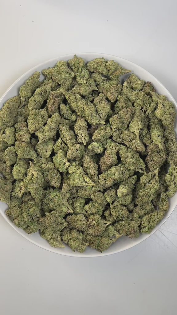 PUFFY Gush Mintz is an indica-dominant hybrid THCa strain, born from the cross of Kush Mints × (F1 Durb × Gushers). The aroma is a refreshing blend of minty coolness, earthy richness, and subtle hints of creamy vanilla. Visually, the buds are dense and striking, showcasing dark green and deep purple hues intertwined with vibrant orange pistils and a sparkling layer of shimmering trichomes. Consumers often describe a powerful, body-zapping high that dissolves stress and tension, leaving the mind calm and the