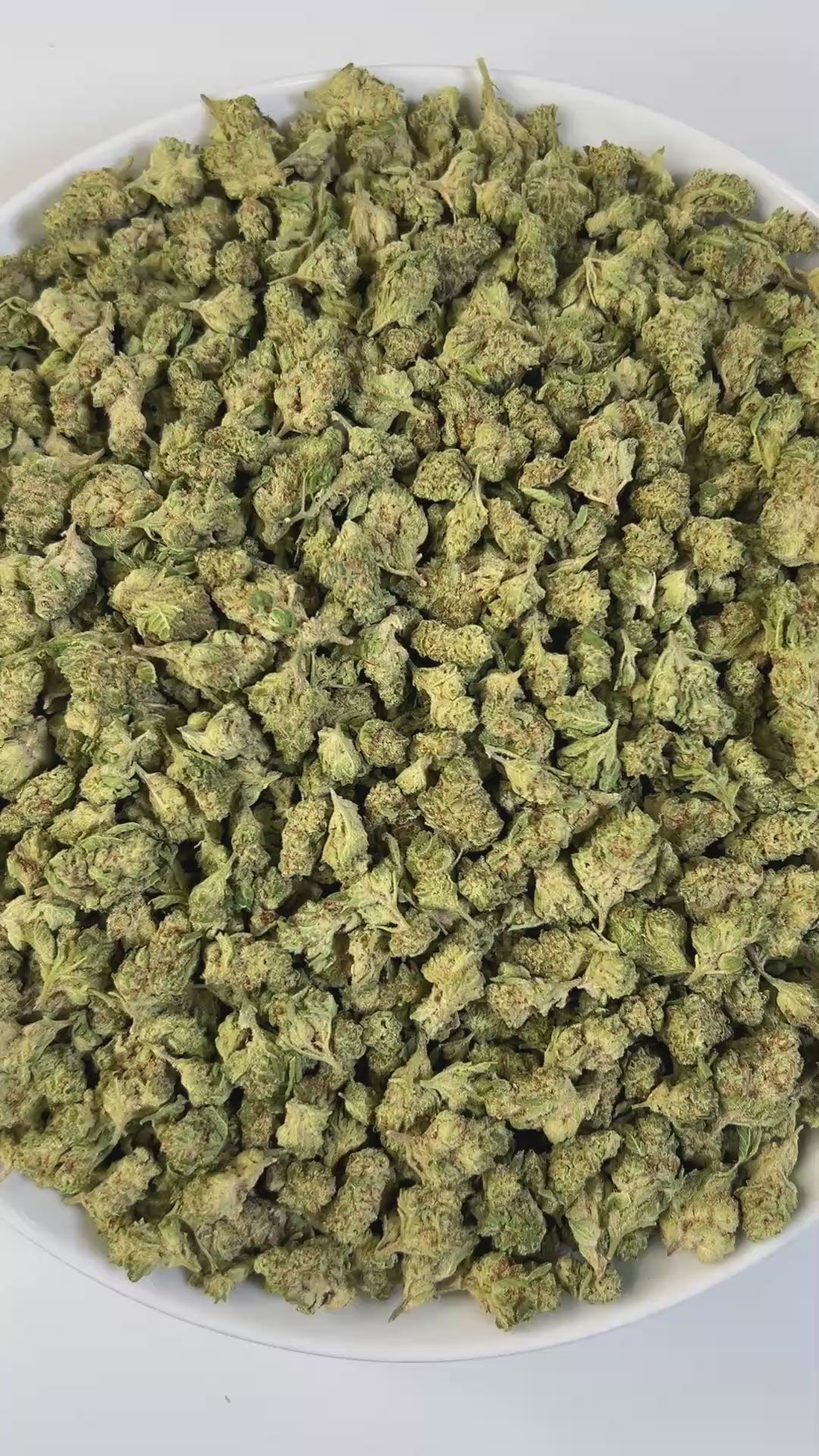 PUFFY Purple Haze is a sativa-dominant hybrid born from the legendary fusion of Purple Thai and Haze.  Aroma is a rich blend of earthy undertones, sweet nuances, and a hint of warm spice. Visually, the buds captivate with a vibrant mix of emerald green, deep purples, and occasional blue hues, accented by fiery orange pistils and a shimmering frost of trichomes. Consumers often describe this strain as a mentally uplifting experience that sparks creativity, boosts energy, induces euphoria, and offers light ph