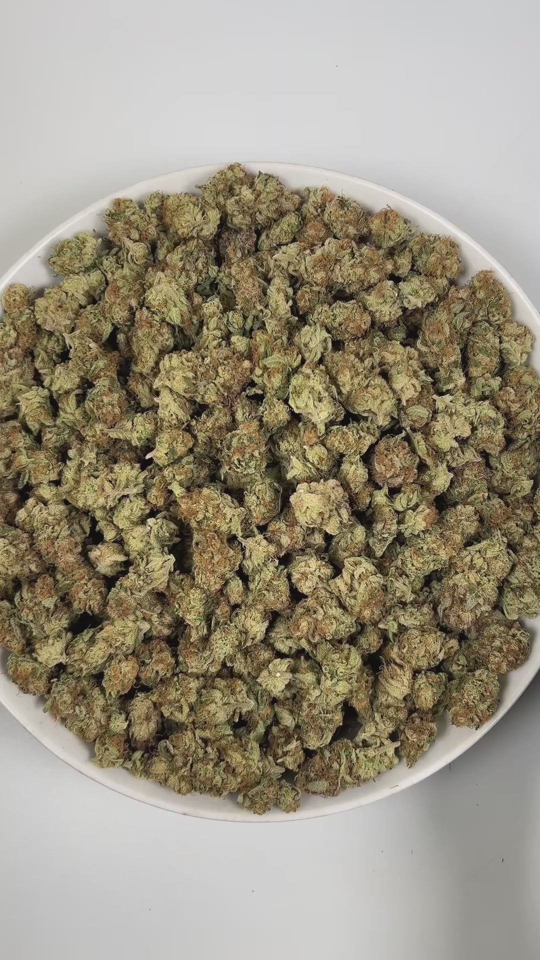 PUFFY Purple Punch is a popular indica-dominant hybrid THCa strain, born from the legendary pairing of Granddaddy Purple and Larry OG. The aroma bursts with sweet berry notes, grounded by earthy undertones and a subtle hint of yeastiness. Visually, the buds are thick and tightly packed, with a lush green backdrop streaked by vivid purples and violets, intertwined with fiery orange pistils and finished with a shimmering coat of crystalline trichomes. Consumers often experience an initial wave of cerebral eup