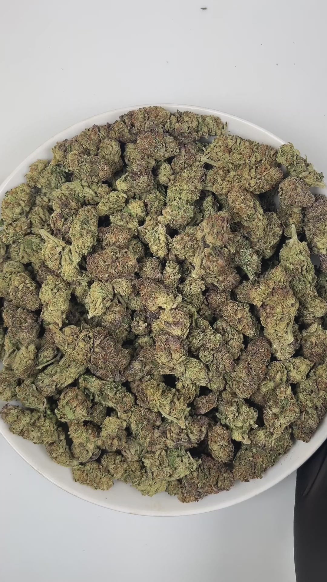 PUFFY Jealousy is a balanced hybrid THCa strain, expertly crafted from a potent cross between Sherbet Bx1 and Gelato 41. The aroma is a delightful blend of sweet, fruity notes, smooth creamy undertones, and delicate floral hints that captivate the senses. Visually striking, the dense buds display dark purple hues, vivid greens, and fiery orange pistils, all dusted with frosty trichomes. Consumers often note a balanced experience that eases stress and lifts the mood while blending mental relaxation with ener