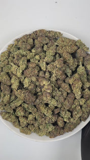 PUFFY Jealousy is a balanced hybrid THCa strain, expertly crafted from a potent cross between Sherbet Bx1 and Gelato 41. The aroma is a delightful blend of sweet, fruity notes, smooth creamy undertones, and delicate floral hints that captivate the senses. Visually striking, the dense buds display dark purple hues, vivid greens, and fiery orange pistils, all dusted with frosty trichomes. Consumers often note a balanced experience that eases stress and lifts the mood while blending mental relaxation with ener