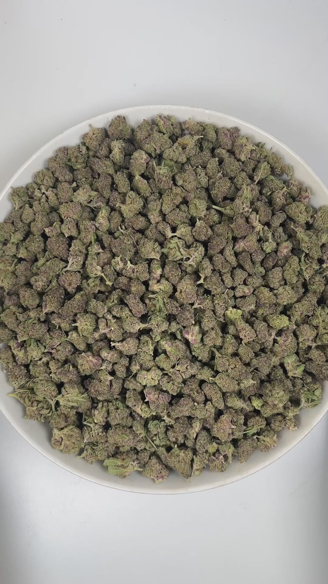 PUFFY Tropical Cherry (smalls) is a sativa-dominant hybrid THCa strain, originating from the fusion of Tropicana Cookies and Cherry Cookies. The aroma is a captivating blend of sweet cherry, fresh herbal undertones, and delicate floral hints. Visually, the buds are dense, showcasing deep purple and green tones accented by bright orange pistils and a frosty trichome layer. Consumers often report a vibrant, uplifting high that boosts mood, sparks creativity, and enhances focus while offering a smooth sense of