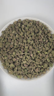 PUFFY Tropical Cherry (smalls) is a sativa-dominant hybrid THCa strain, originating from the fusion of Tropicana Cookies and Cherry Cookies. The aroma is a captivating blend of sweet cherry, fresh herbal undertones, and delicate floral hints. Visually, the buds are dense, showcasing deep purple and green tones accented by bright orange pistils and a frosty trichome layer. Consumers often report a vibrant, uplifting high that boosts mood, sparks creativity, and enhances focus while offering a smooth sense of