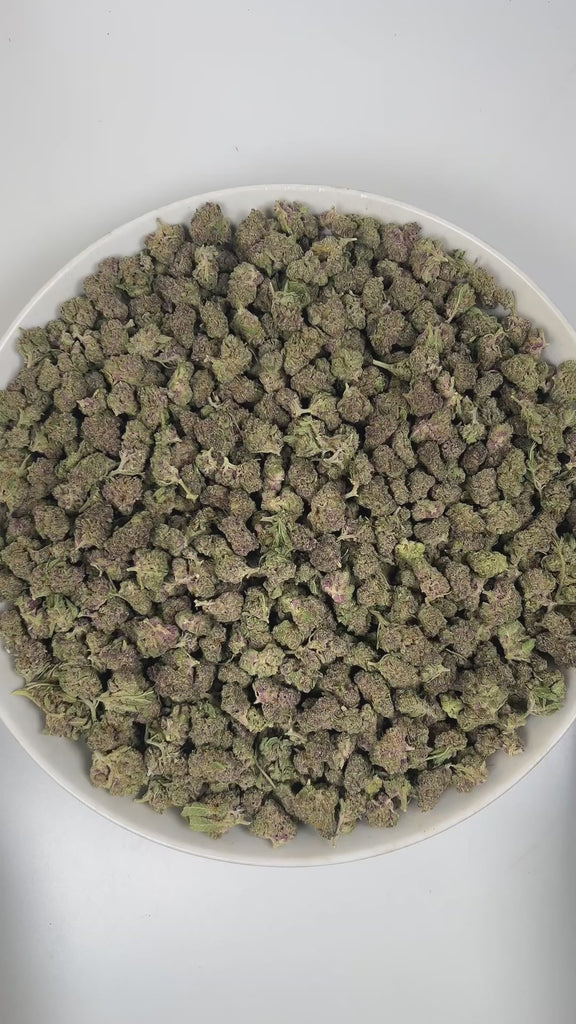 PUFFY Tropical Cherry (smalls) is a sativa-dominant hybrid THCa strain, originating from the fusion of Tropicana Cookies and Cherry Cookies. The aroma is a captivating blend of sweet cherry, fresh herbal undertones, and delicate floral hints. Visually, the buds are dense, showcasing deep purple and green tones accented by bright orange pistils and a frosty trichome layer. Consumers often report a vibrant, uplifting high that boosts mood, sparks creativity, and enhances focus while offering a smooth sense of