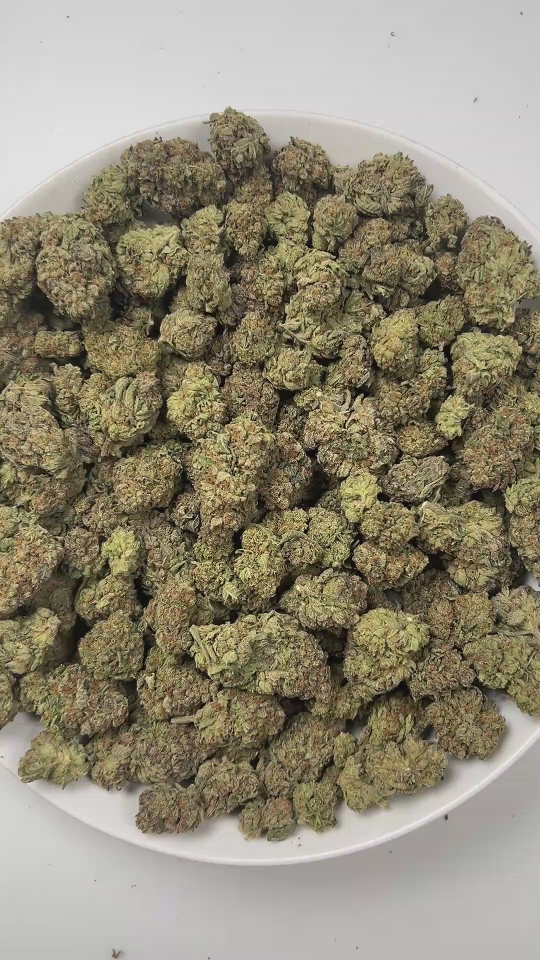 PUFFY Punch Drunk is an indica-dominant hybrid THCa strain, created from the fusion of Purple Punch and Headstash. The aroma delights the senses with a juicy fusion of fresh watermelon, sweet candy, and a splash of fruity punch for an irresistibly playful scent. Visually, the buds captivate with dense, showcasing deep green and royal purple tones intertwined with bright orange pistils and a shimmering coat of trichomes. Consumers often report a euphoric head buzz that uplifts mood and sparks sociable energy