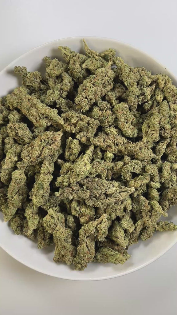 PUFFY Governmint Oasis is a balanced hybrid THCa strain, created by crossing GMO and Gush Mints. The aroma presents a funky, buttery richness layered with fresh, herbal undertones for a distinctive and savory scent. Visually captivating, the buds feature a mix of rich forest green and vibrant purple shades, dusted with frosty white trichomes and highlighted by bold, crimson pistils. Consumers often experience a calming body high accompanied by euphoria, tingling sensations, and an uplifted, clear-headed moo